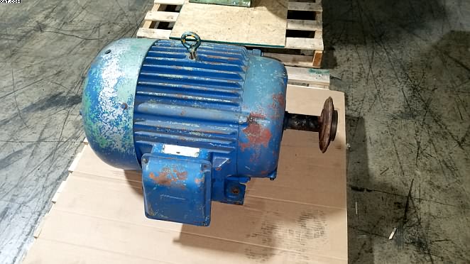 NEWMAN Electric Motor 30 hp